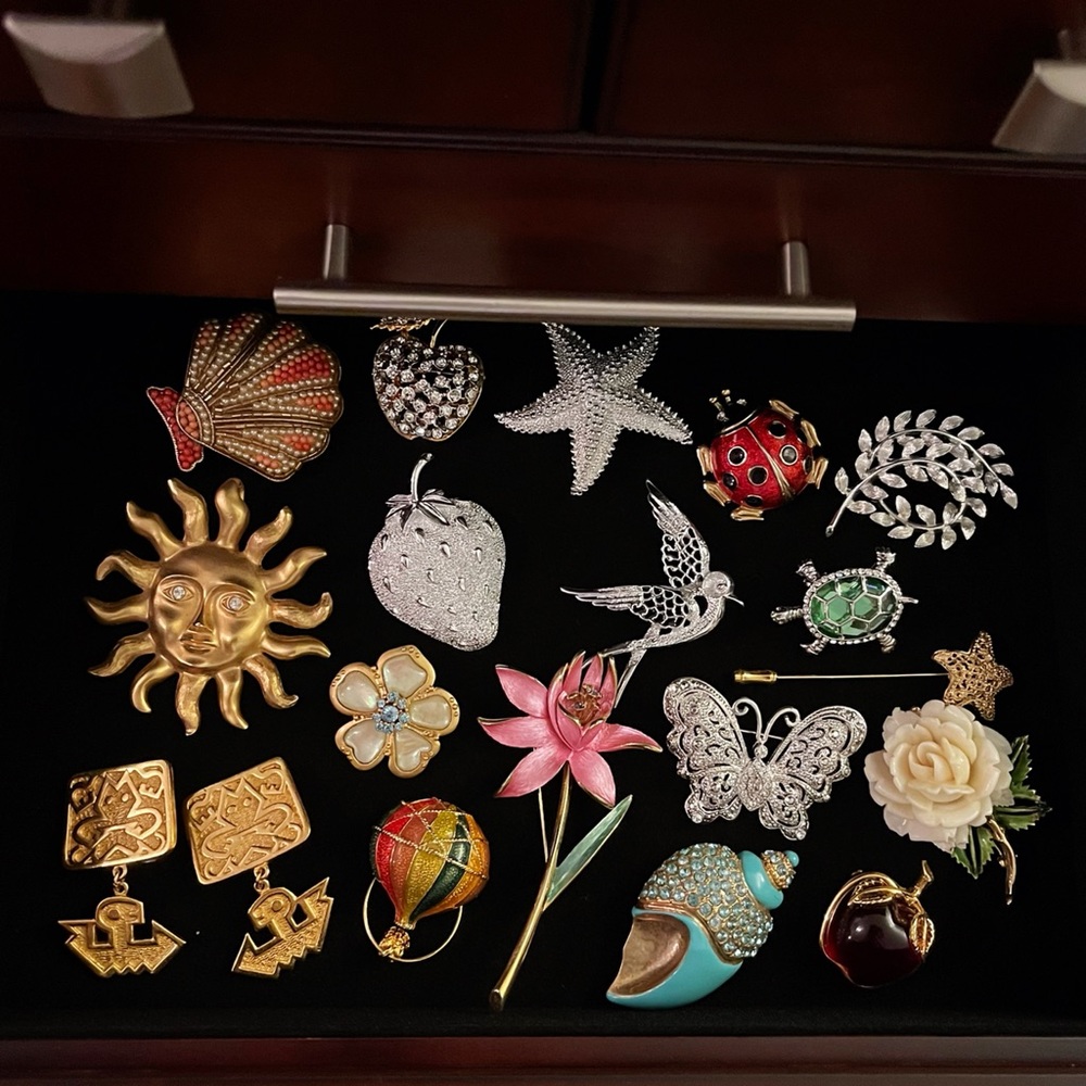 ✨Precious Brooch✨